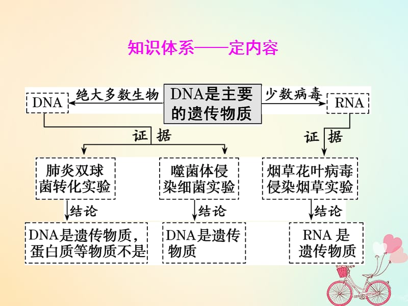 2019版高考生物一轮复习第六单元基因的本质与表达第一讲DNA是主要的遗传物质精盐件.ppt_第3页