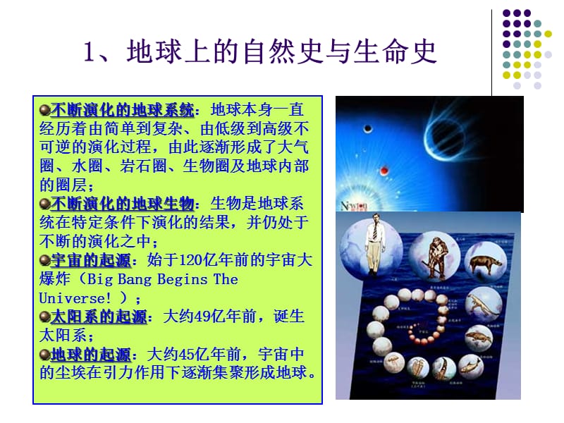 生物信息学3生物学基础.ppt_第3页