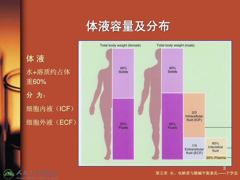 急诊医学课件5第五章水、电解质与酸碱平衡紊乱.ppt_第3页