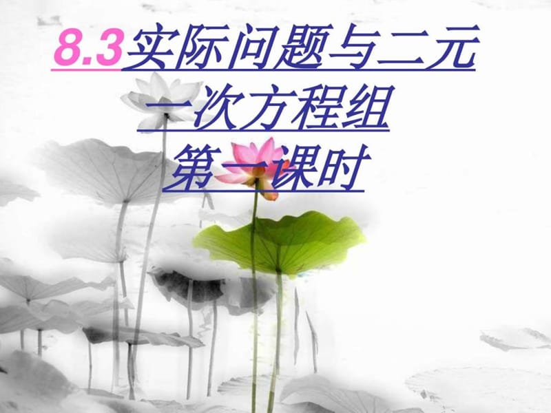 实际问题与二元一次方程组(1).ppt_第1页