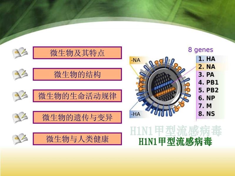 《微生物概论》PPT课件.ppt_第2页