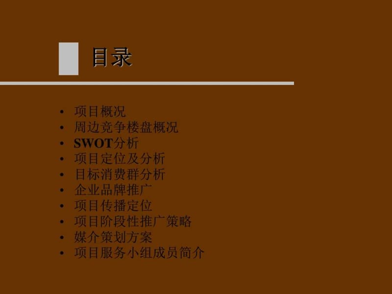 国际公馆整合推广方案.ppt_第2页