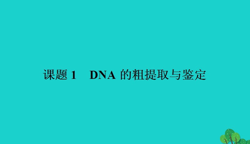 2017_2018学年高中生物专题5DNA和蛋白质技术5.1DNA的粗提取与鉴定课件新人教版选修120170905230.ppt_第2页