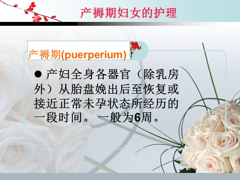 产褥期的常见问题ppt课件.ppt_第3页