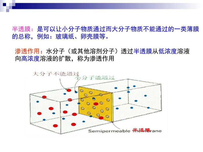 人教版 必修1 第4章第1节物质跨膜运输的实例 课件 (共(5).ppt_第3页