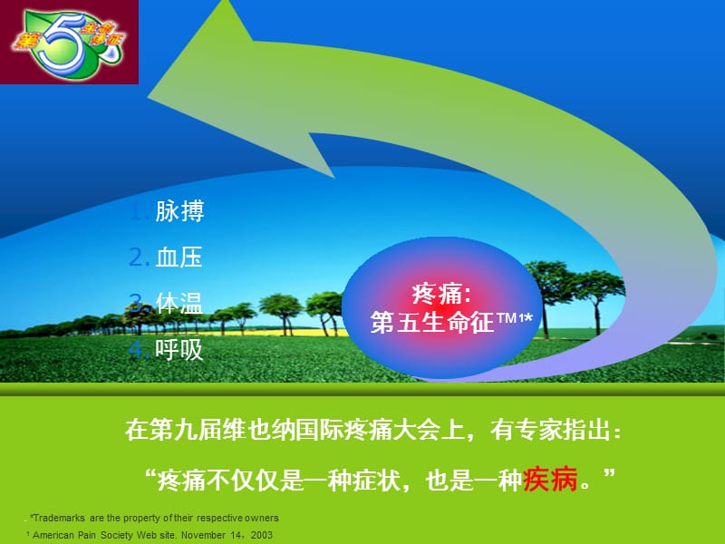 围手术期镇痛治疗及nsaids类药物新进展.ppt_第2页