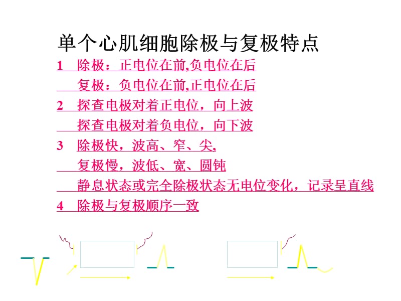 临床心电图分析ppt课件.ppt_第3页