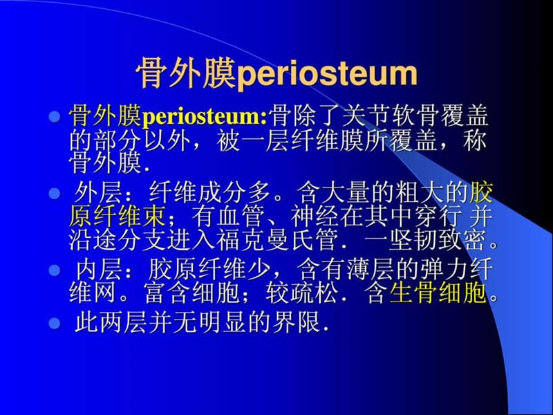 《骨折修复生物学》PPT课件.ppt_第3页