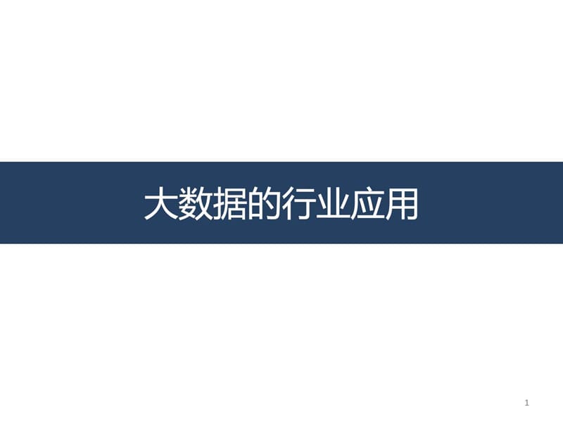 《大数据应用》PPT课件.ppt_第1页