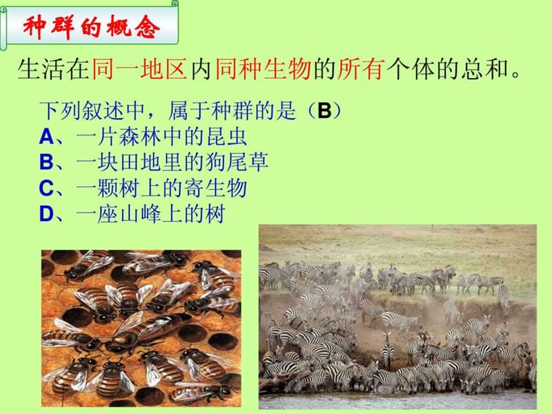 《种群的特征》PPT课件.ppt_第2页