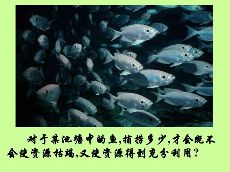 《种群的特征》PPT课件.ppt_第3页