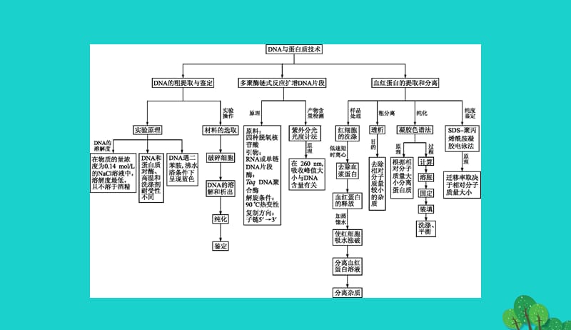 2017_2018学年高中生物专题5DNA和蛋白质技术整合课件新人教版选修120170905223.ppt_第2页