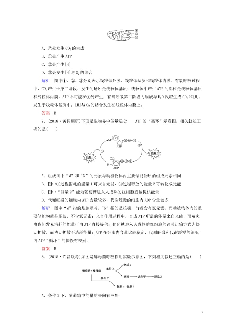 2020高考生物一轮复习配餐作业9ATP与细胞呼吸含解析201905171182.doc_第3页