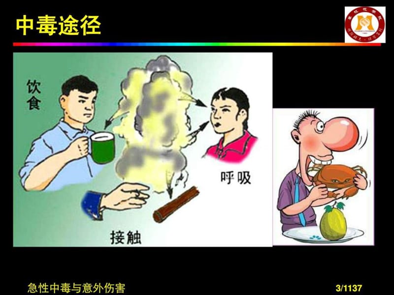 急性中毒的解决方法.ppt_第3页