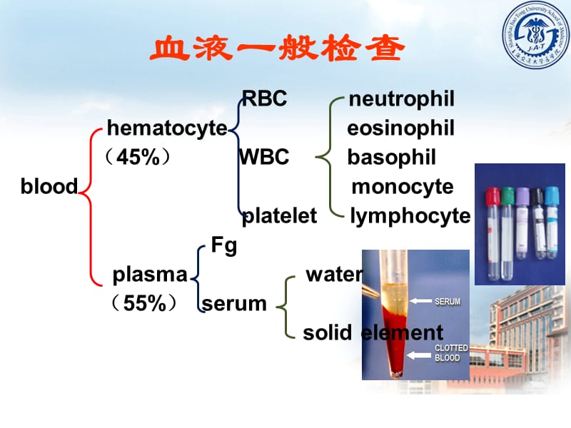 《血液一般检查》ppt课件.ppt_第3页