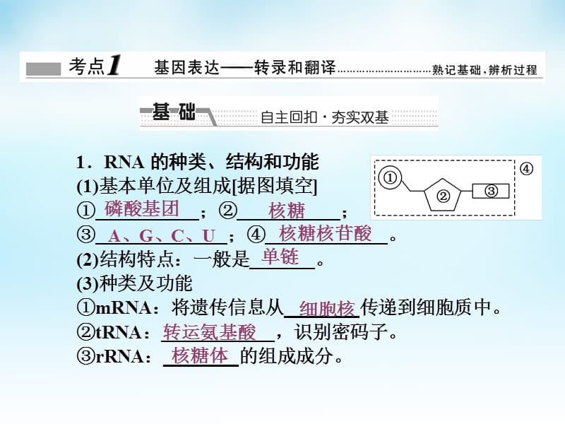 2016届高三生物一轮复习 第二单元 第3讲 基因的表达课件 新人教版必修.ppt_第2页