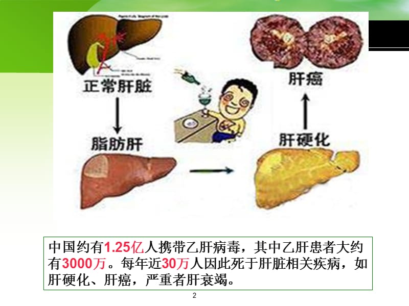 2012版李淑慧-本五-第16次-肝胆疾病.ppt_第2页