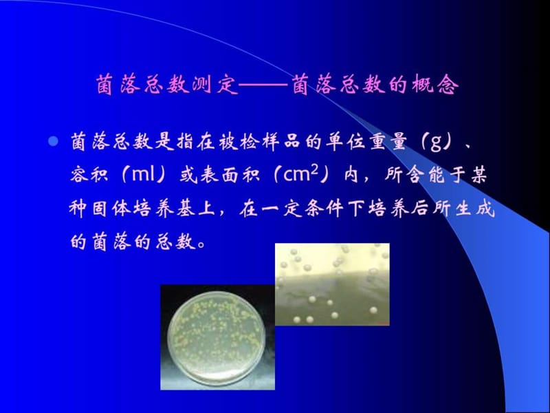 食品微生物检验方法(ISOFDA).ppt_第3页