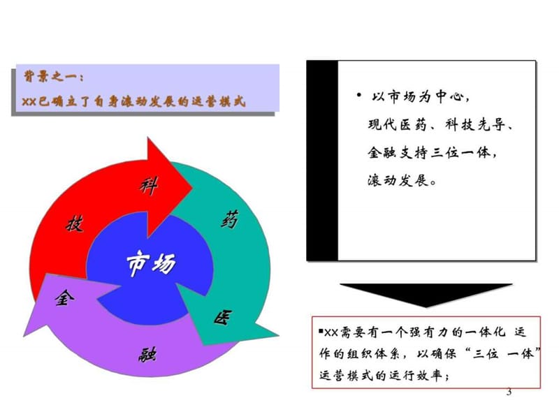 集团组织发展战略规划.ppt_第3页