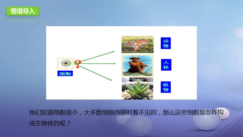 2017年秋七年级生物上册3.2生物体课件3北京课改版.ppt_第2页