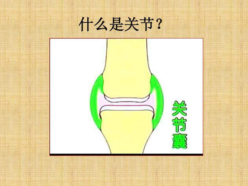 骨关节炎与骨质疏松症.ppt_第2页