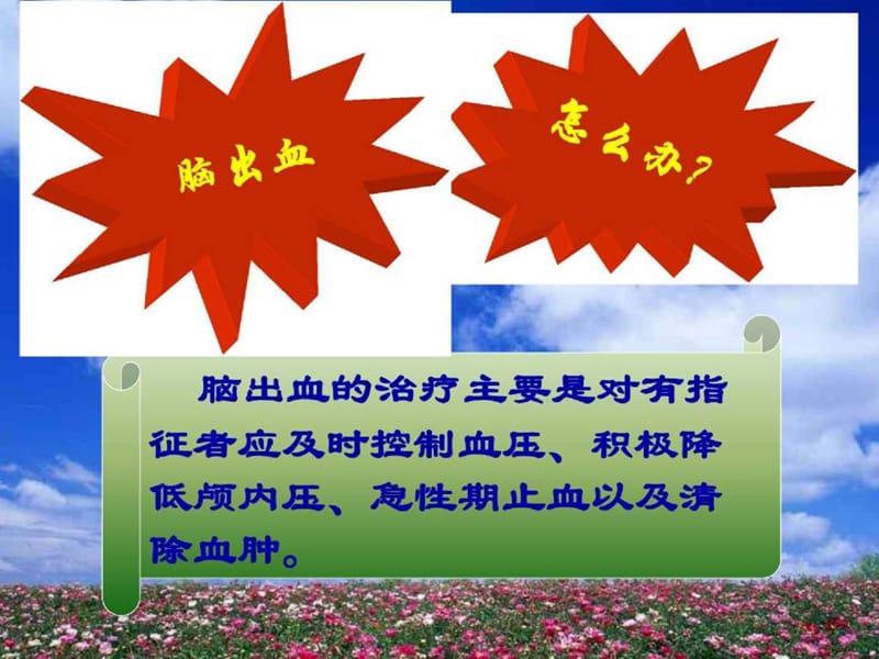 脑出血的相关处理.ppt_第3页