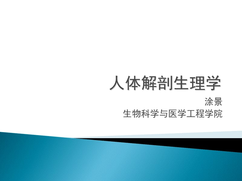 人体基本结构概述.ppt_第1页