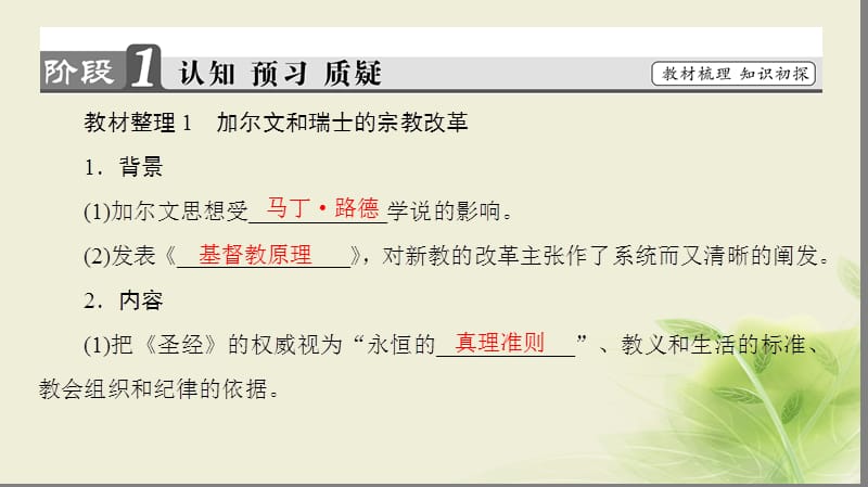 2017_2018学年高中历史第五章欧洲宗教改革3欧洲宗教改革的发展课件北师大版选修.ppt_第3页