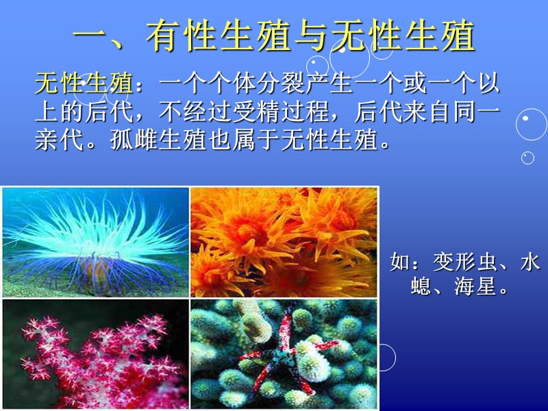 普通生物学生殖与胚胎发育ppt课件.ppt_第2页