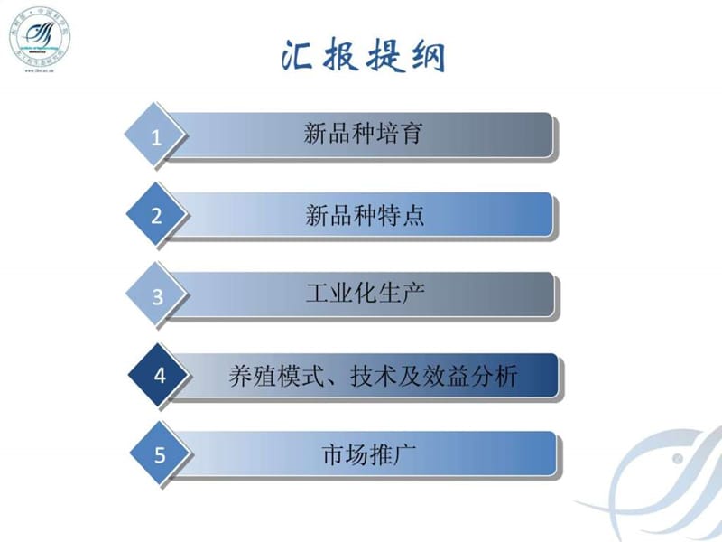 黄颡鱼“全雄1号”(省推广中心).ppt_第2页