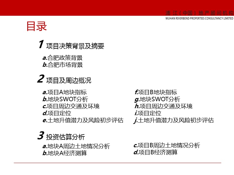 2014合肥繁华大道地块及北一环路地块可行性分析报告.ppt_第2页