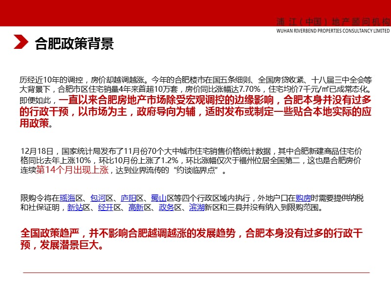 2014合肥繁华大道地块及北一环路地块可行性分析报告.ppt_第3页