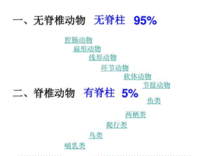 脊椎动物的主要类群(2).ppt