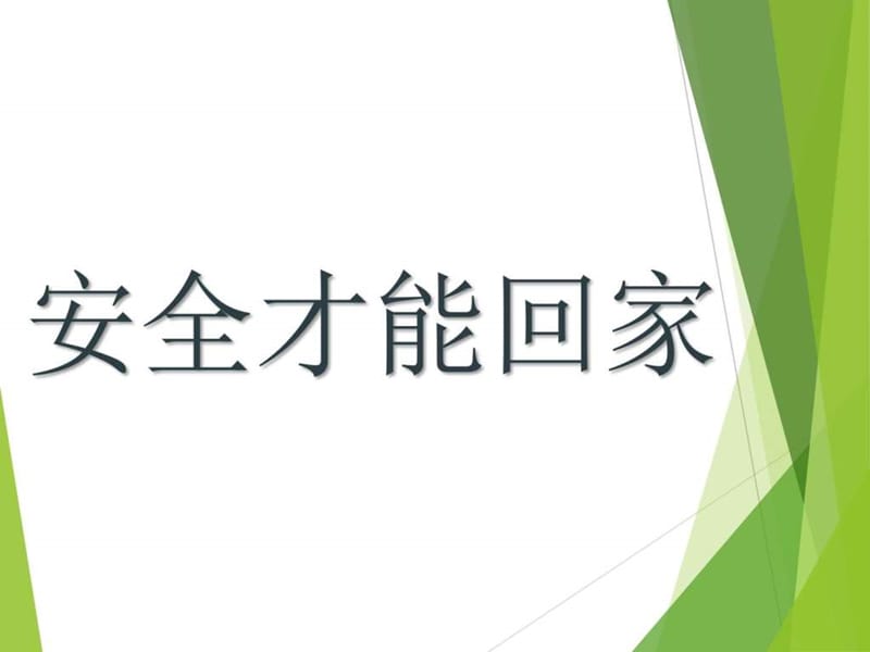 四年级品德与生活下册课件-安全才能回家(1).ppt_第3页