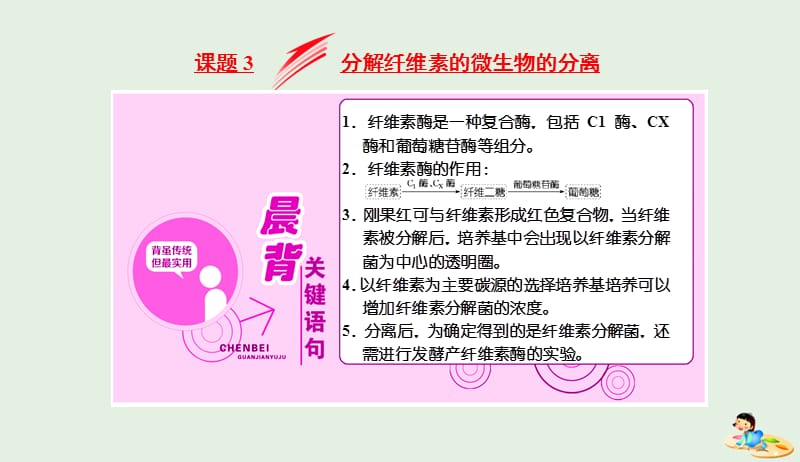 2018_2019学年高中生物专题2课题3分解纤维素的微生物的分离课件新人教版选修120190419357.ppt_第1页