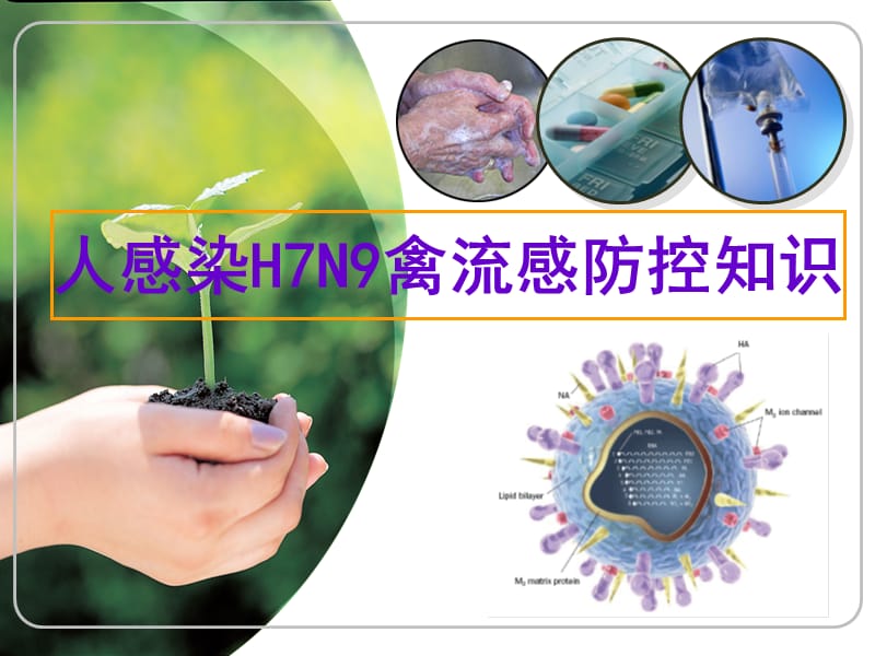 H7N9禽流感防控知识讲座.ppt_第1页
