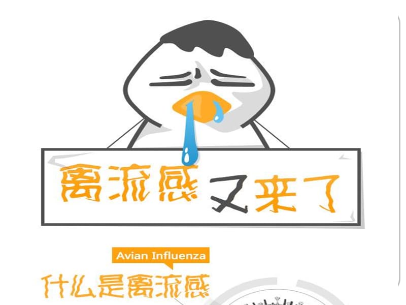 H7N9禽流感防控知识讲座.ppt_第2页