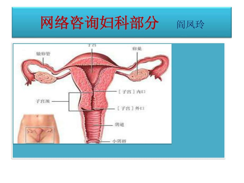 网络咨询妇科部分.ppt_第2页