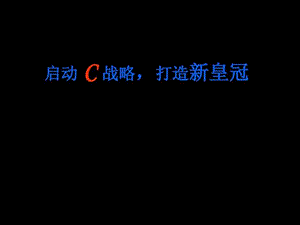 知名箱包品牌推广方案.ppt