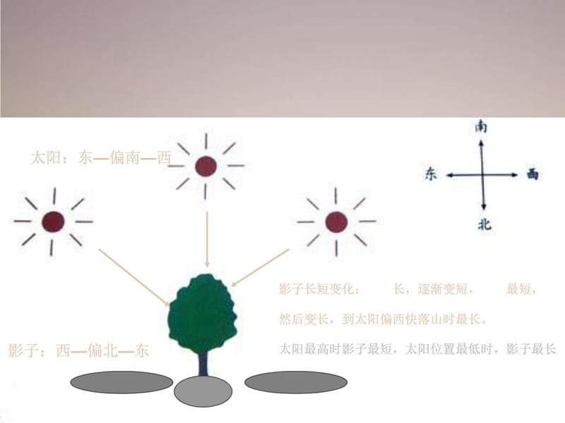 教科版科学五年级上册光是怎样传播的.ppt_第2页