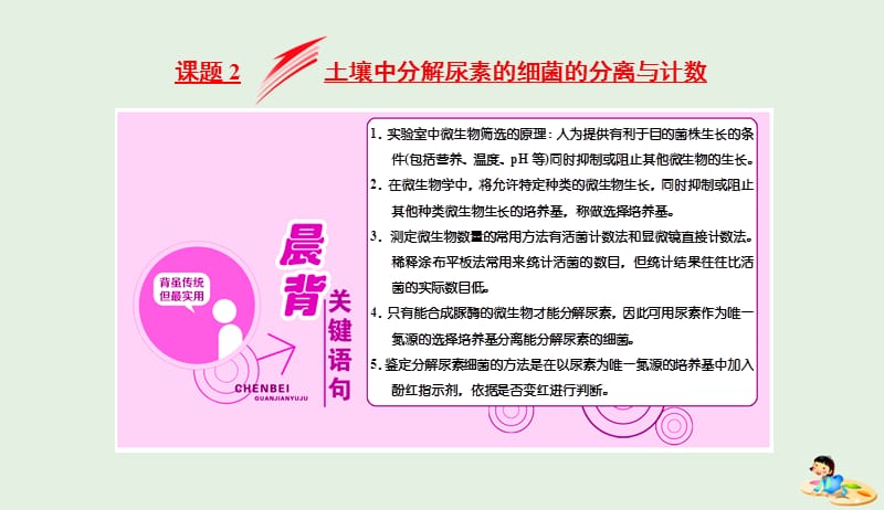 2018_2019学年高中生物专题2课题2土壤中分解尿素的细菌的分离与计数课件新人教版选修120190419355.ppt_第1页