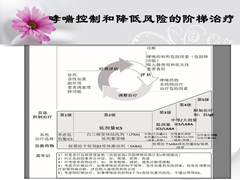 特殊剂型的使用ppt课件.ppt_第3页