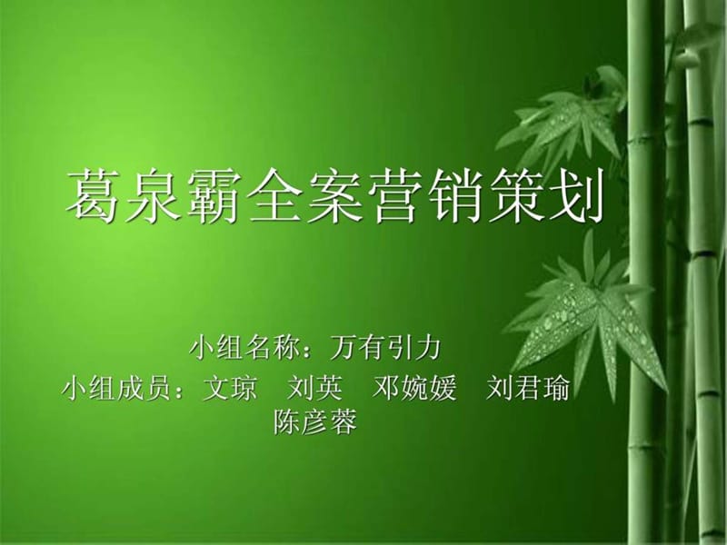 葛泉霸全案营销策划.ppt_第1页