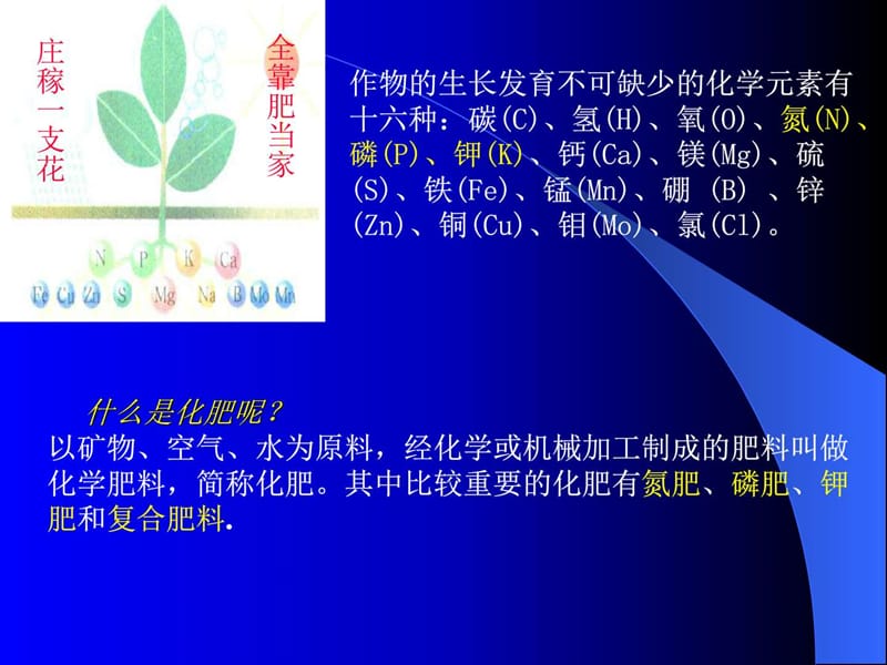 化学肥料_化学_自然科学_专业资料.ppt_第2页