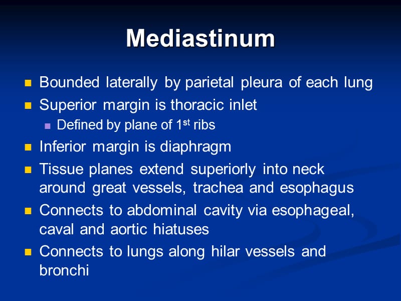 医学ppt--mediastinummodadam.ppt_第2页