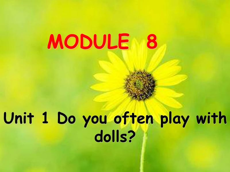 外研版小学六年级英语上册《Module 8 Unit 1 Do you of.ppt_第1页