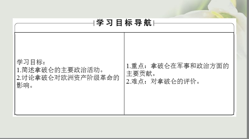 2017_2018学年高中历史专题3欧美资产阶级革命时候的杰出人物三“军事天才”拿破仑波拿巴一二课件人民版选修.ppt_第2页