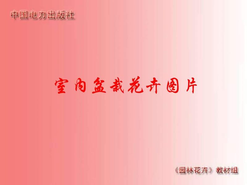 室内盆栽花卉图片总.ppt_第1页