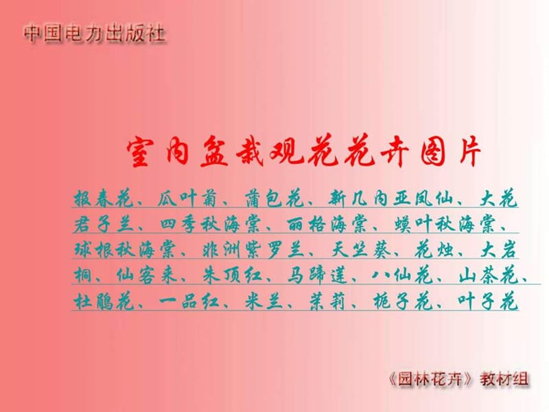 室内盆栽花卉图片总.ppt_第3页