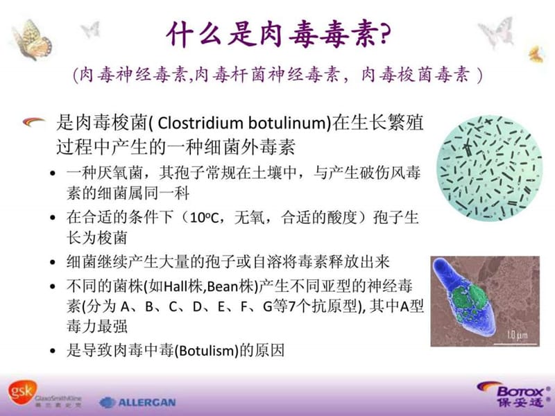 肉毒毒素基本知识.ppt_第3页